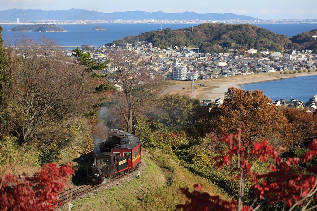 🎡 아이치 어린이 나라 (아이치 코도모노쿠니) 이미지 7